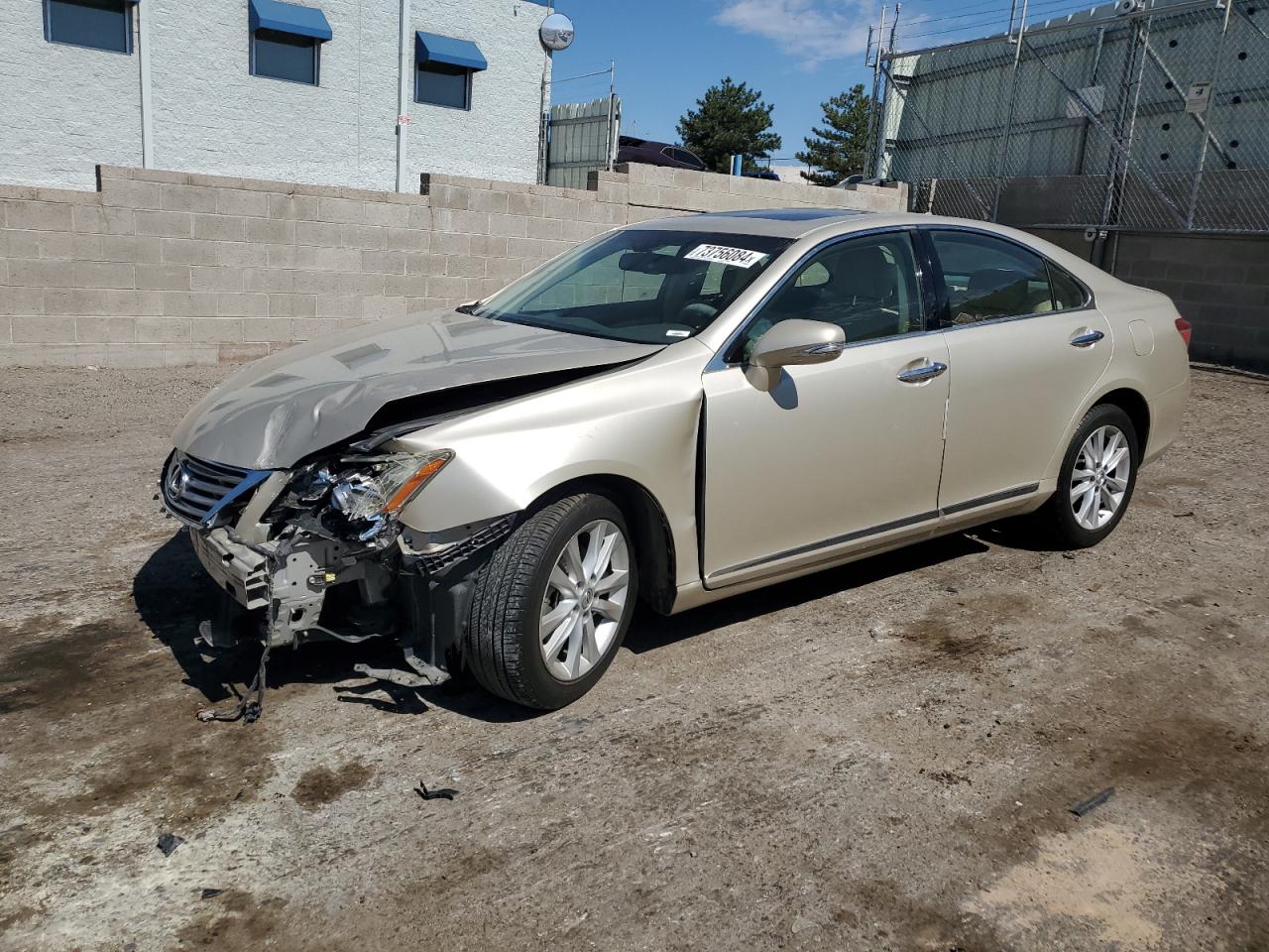 Lot #2923329532 2011 LEXUS ES 350