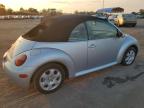 VOLKSWAGEN NEW BEETLE photo