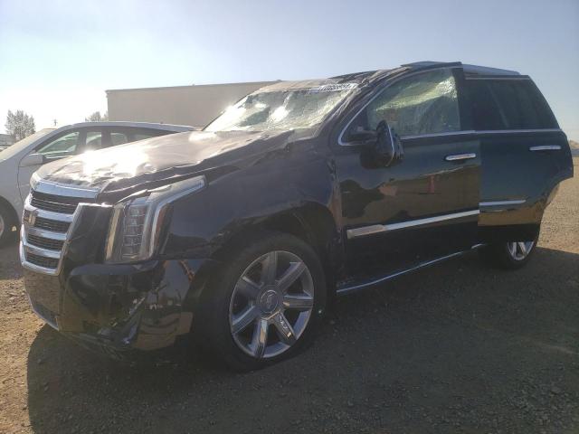 2020 CADILLAC ESCALADE P 1GYS4CKJ4LR253532  70656954