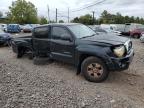 TOYOTA TACOMA DOU photo