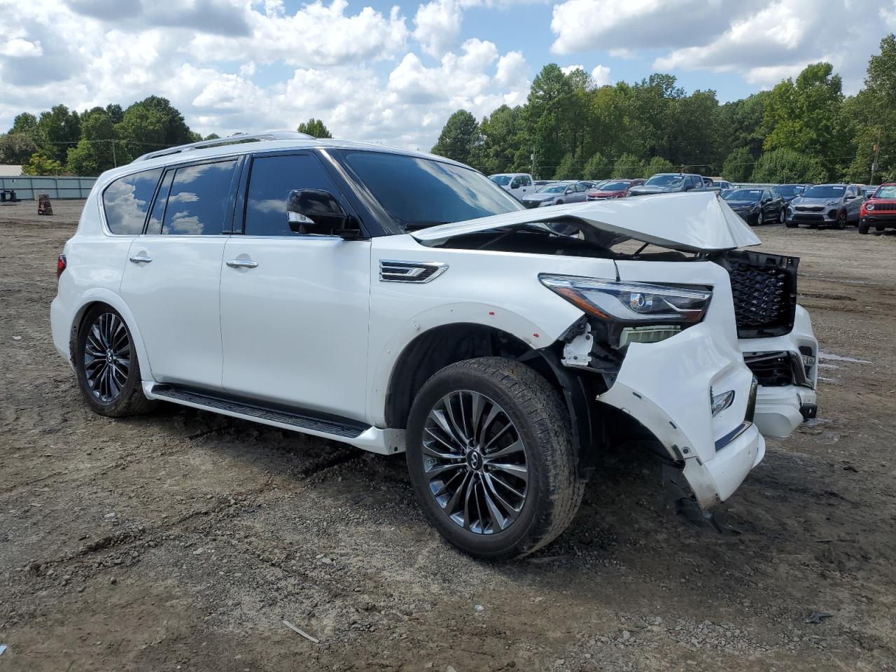 Lot #2952816769 2021 INFINITI QX80 LUXE