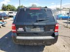 FORD ESCAPE XLT photo