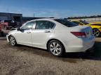 HONDA ACCORD EXL photo