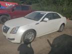 CADILLAC CTS LUXURY photo