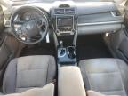 TOYOTA CAMRY L photo