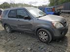 HONDA CR-V SE photo