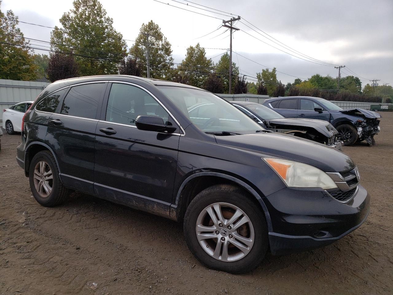 Lot #3030632137 2010 HONDA CR-V EXL