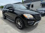 MERCEDES-BENZ ML 350 photo