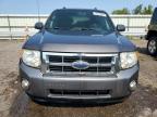 FORD ESCAPE XLT photo