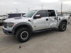 FORD F150 SVT R photo