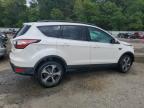 FORD ESCAPE SEL photo