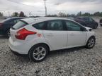 FORD FOCUS SE photo