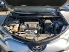 TOYOTA RAV4 XLE photo