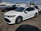 2020 TOYOTA CAMRY LE - 4T1C31AK5LU528782