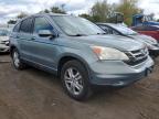 Lot #3025044176 2010 HONDA CR-V EXL