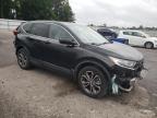 Lot #3023397239 2020 HONDA CR-V EX