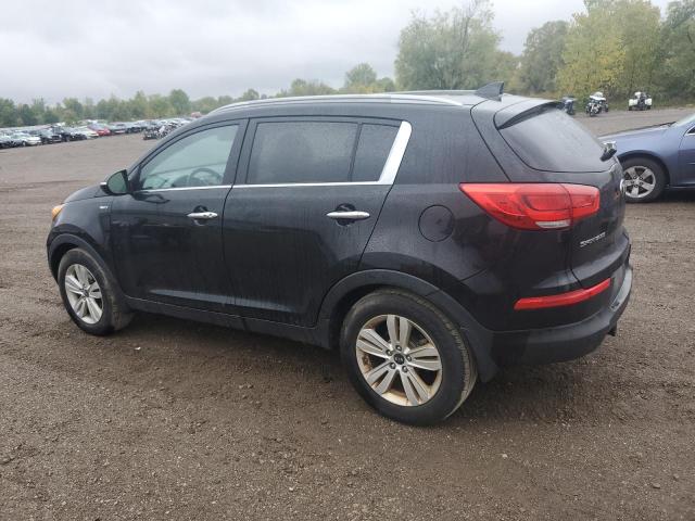 2016 KIA SPORTAGE E - KNDPCCAC6G7832721