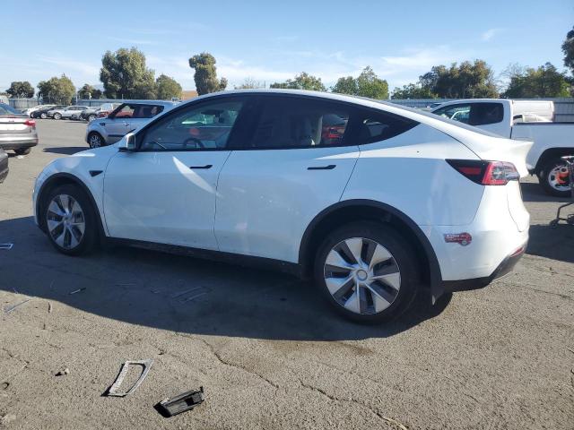 2023 TESLA MODEL Y - 7SAYGDEE4PF747464
