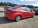 HYUNDAI ELANTRA SE photo