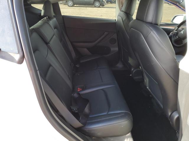 2023 TESLA MODEL Y - 7SAYGDEE6PF583151