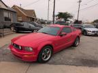 FORD MUSTANG GT photo