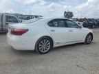 LEXUS LS 460 photo