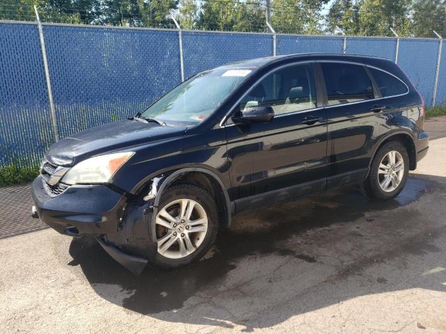 Vin: 5j6re4h70bl810595, lot: 69402674, honda crv exl 2011 img_1