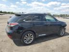 LEXUS RX 450H photo