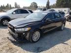 FORD FUSION SE photo