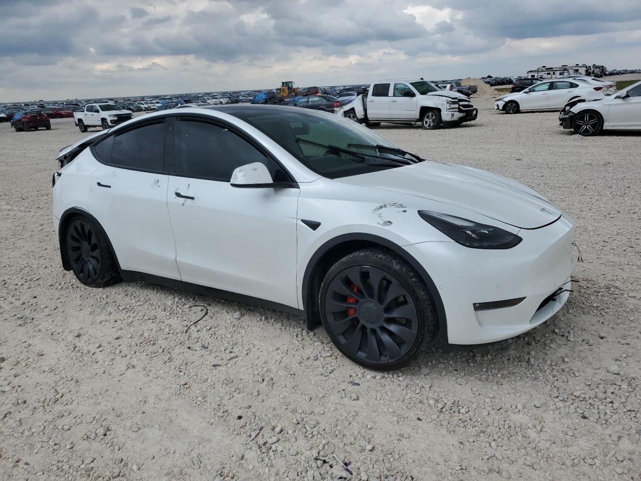 Lot #3016773147 2022 TESLA MODEL Y