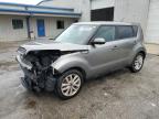 KIA SOUL + photo