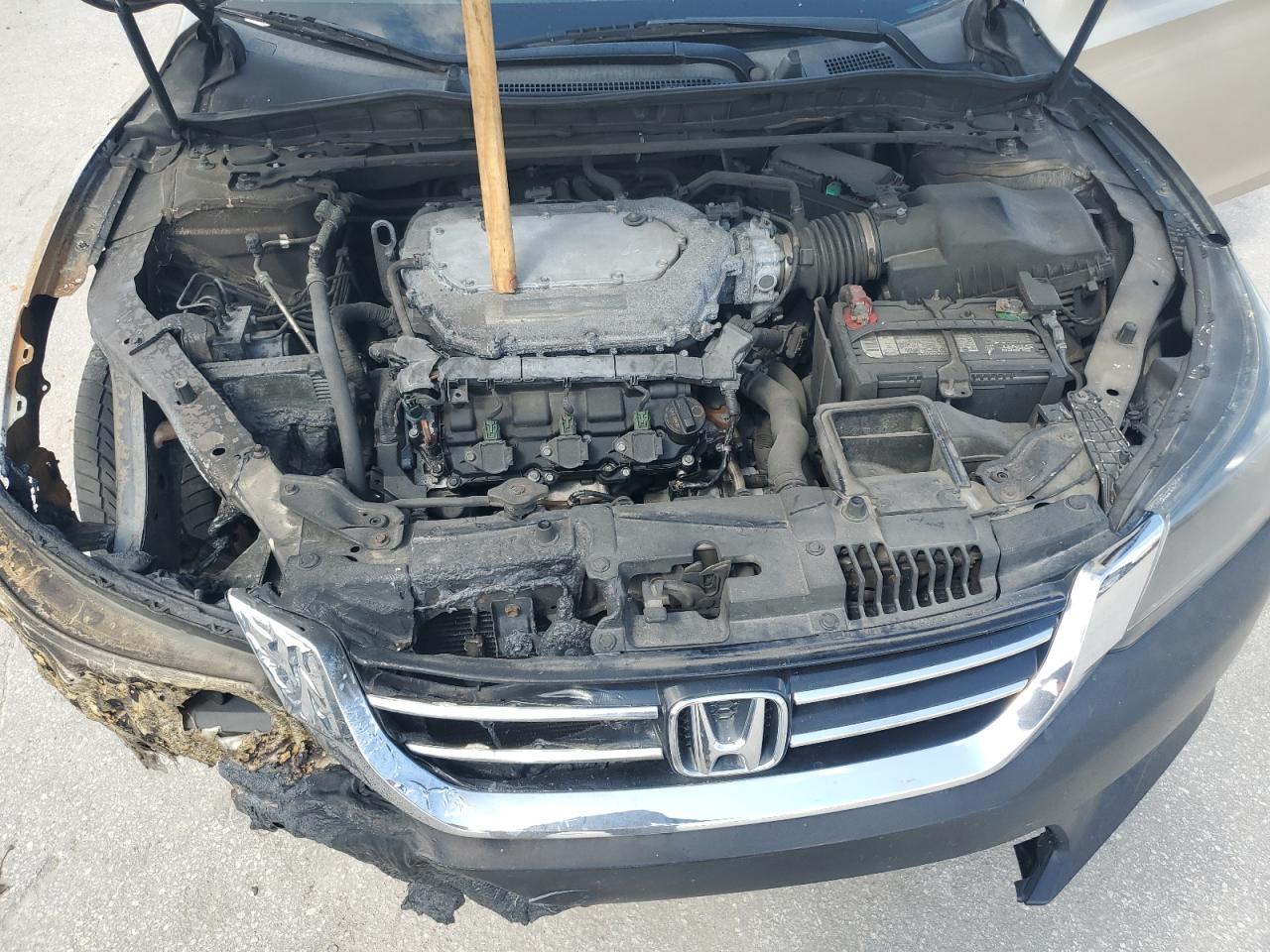 Lot #2840672149 2014 HONDA ACCORD EXL