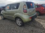 KIA SOUL + photo