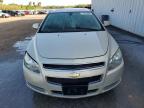 CHEVROLET MALIBU 2LT photo