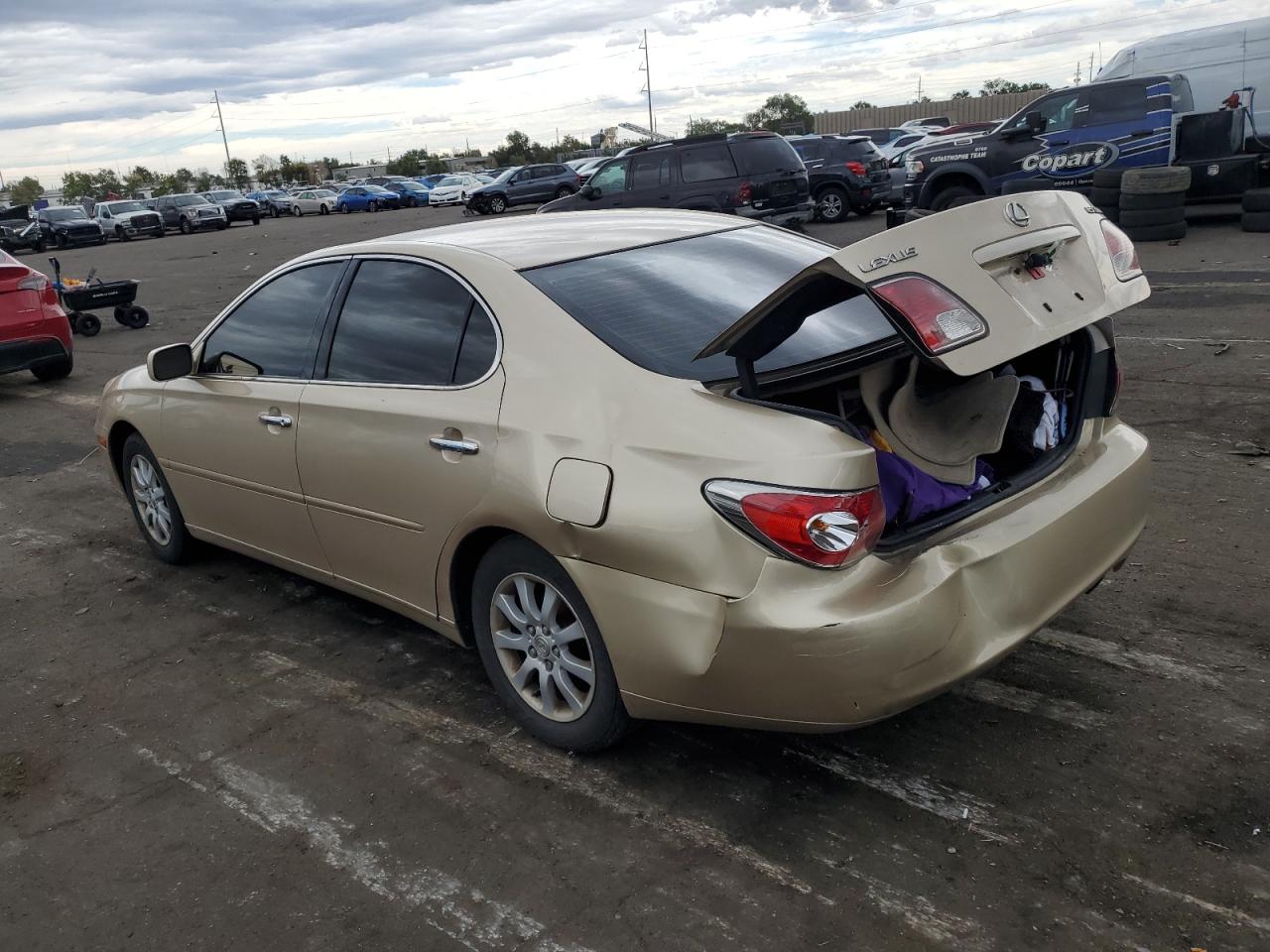 Lot #2926514283 2002 LEXUS ES 300