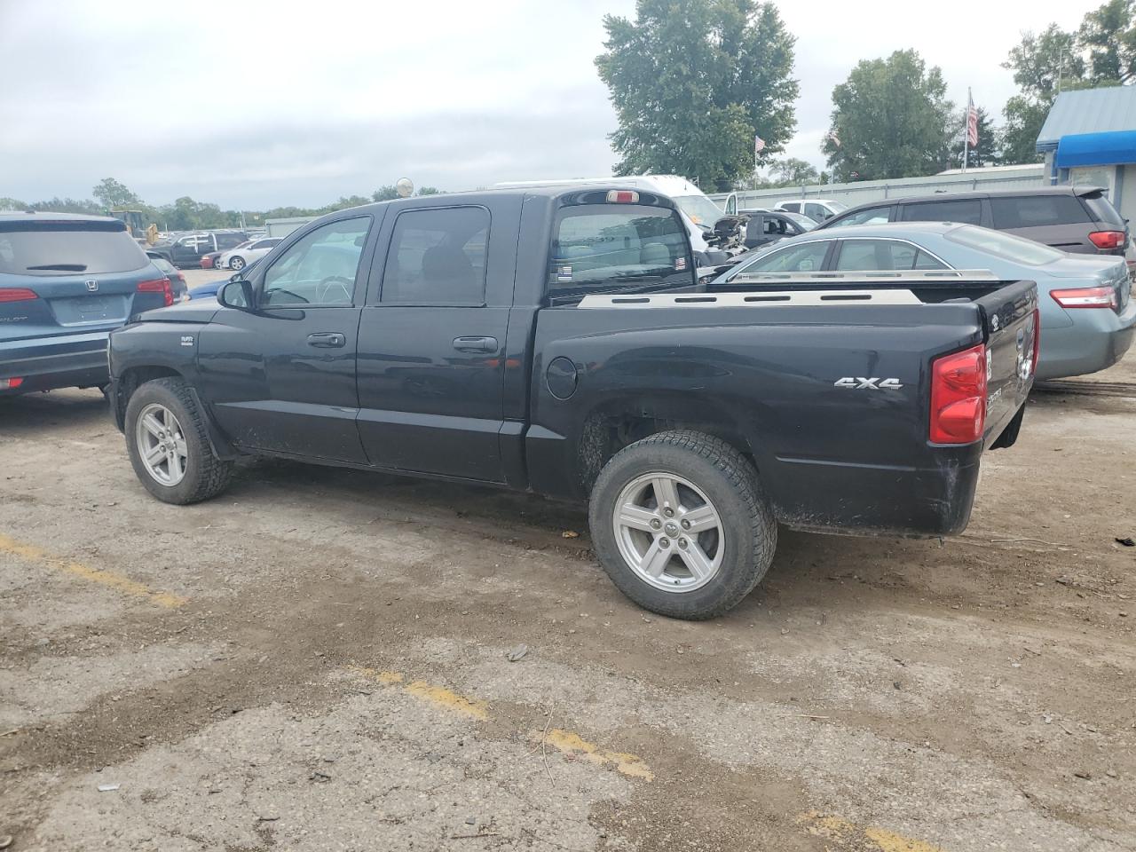 Lot #2989393676 2010 DODGE DAKOTA SXT