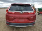 HONDA CR-V EX photo