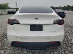 TESLA MODEL Y photo