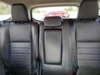 Lot #3025039194 2014 FORD ESCAPE TIT