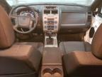 FORD ESCAPE XLT photo