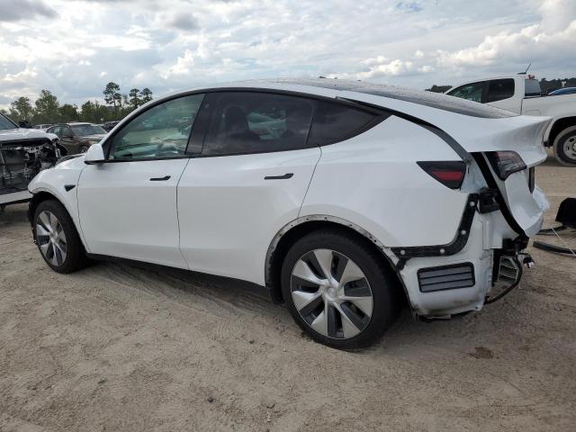 2021 TESLA MODEL Y - 5YJYGDED3MF134168