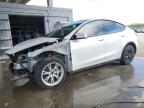 2023 TESLA MODEL Y - 7SAYGDEE2PA053806