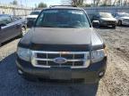 FORD ESCAPE XLT photo