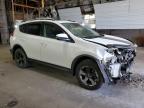 TOYOTA RAV4 XLE photo