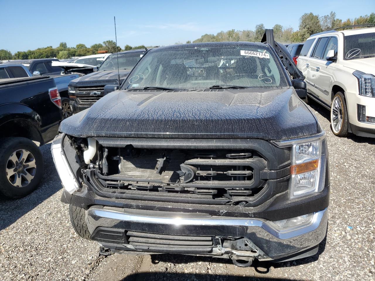 Lot #2952936750 2022 FORD F150