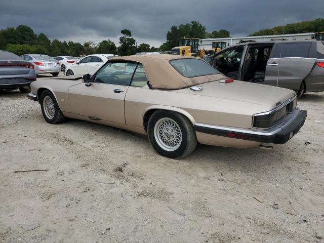 JAGUAR XJS 1992 tan  gas SAJNW4844NC182568 photo #3