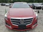 CADILLAC CTS LUXURY photo