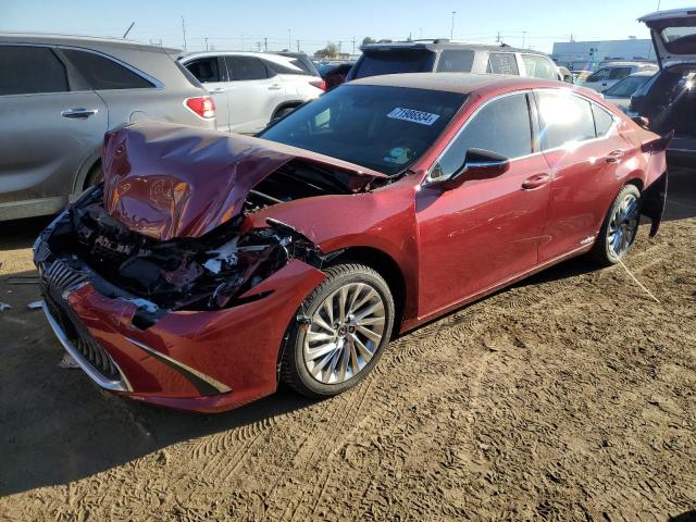 2019 LEXUS ES300H - 58AB21B14KU002347