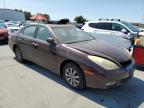 LEXUS ES 300 photo