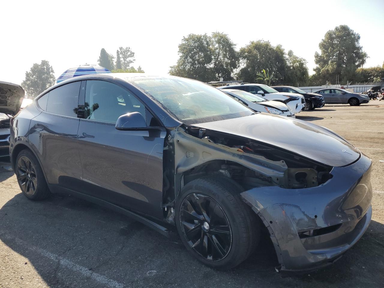 Lot #3033461085 2021 TESLA MODEL Y